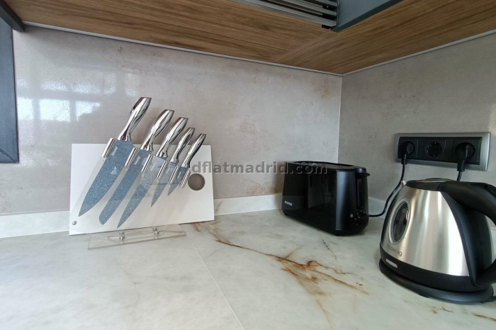 Penthouse in Chamartin of 1 Bedroom #1879 in Madrid