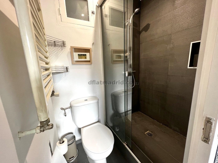 Apartment in Centro of 2 Bedrooms #1893 in Madrid