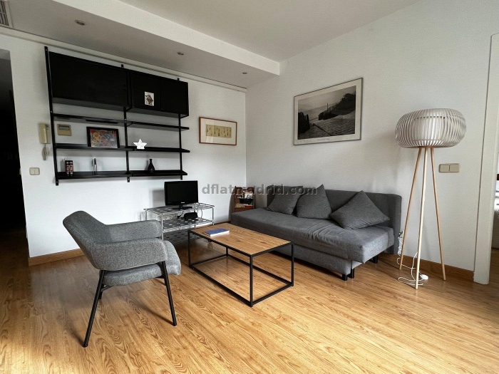 Apartment in Centro of 2 Bedrooms #1893 in Madrid