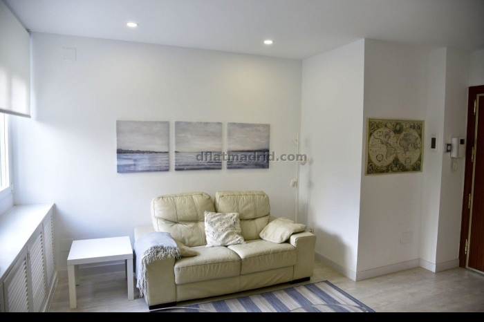 Apartamento Acogedor en Chamartin de 1 Dormitorio #1900 en Madrid