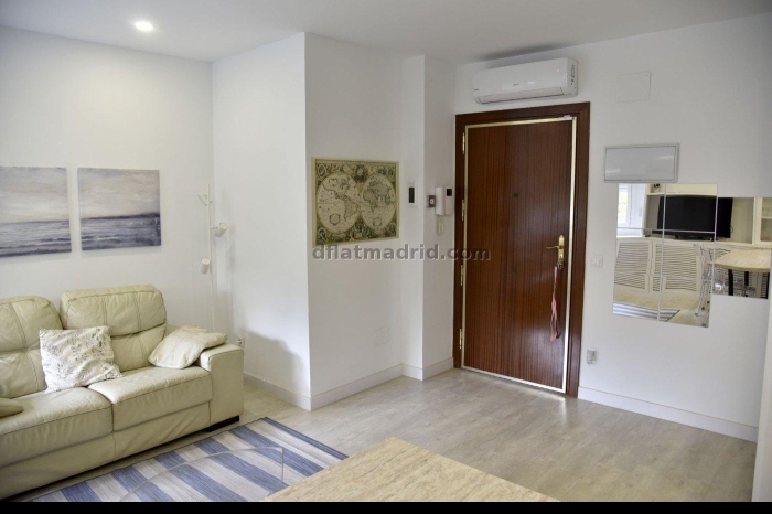 Apartamento Acogedor en Chamartin de 1 Dormitorio #1900 en Madrid