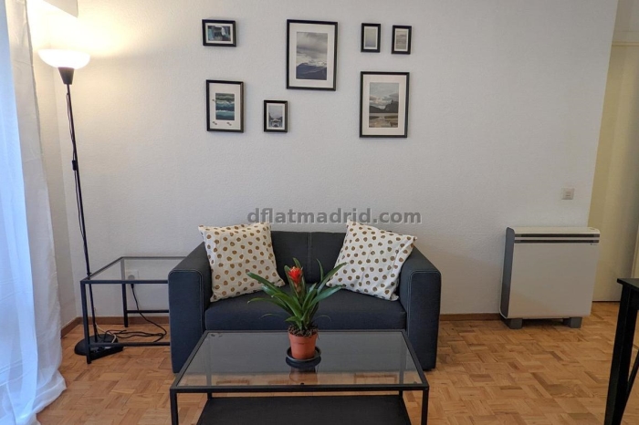 Apartamento en Centro de 1 Dormitorio con terraza #1901 en Madrid