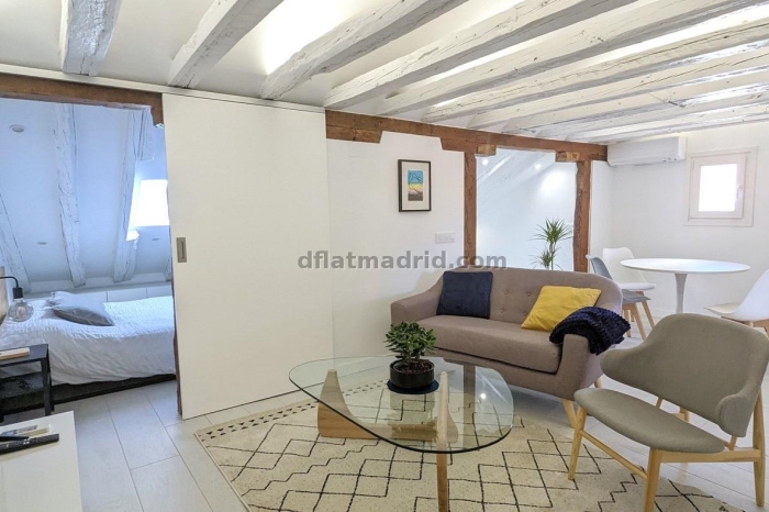 Apartamento en Centro de 1 Dormitorio #1910 en Madrid