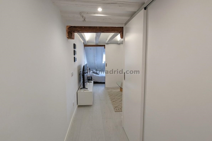 Apartamento en Centro de 1 Dormitorio #1910 en Madrid