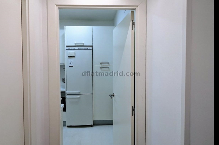 Apartment in Salamanca of 2 Bedrooms #1913 in Madrid