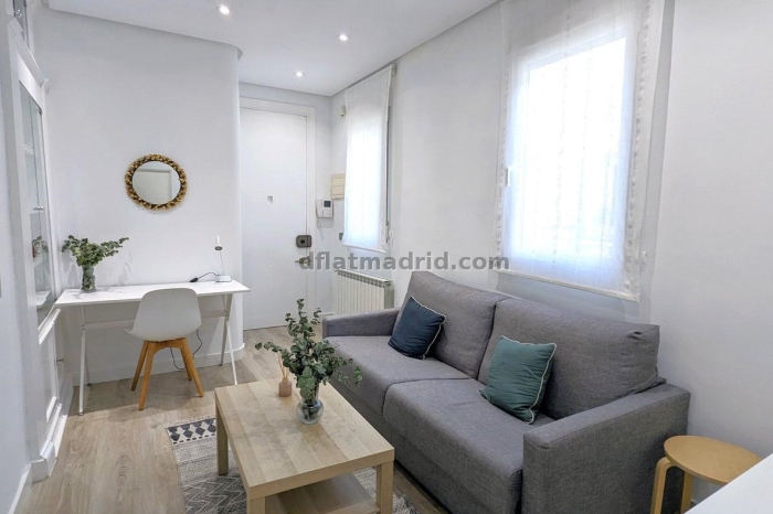 Apartment in Salamanca of 2 Bedrooms #1913 in Madrid