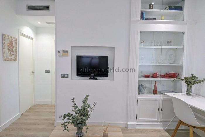 Apartment in Salamanca of 2 Bedrooms #1913 in Madrid