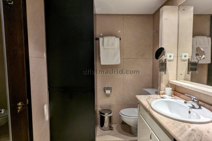 Central Apartment in Salamanca of 1 Bedroom #1920 in Madrid