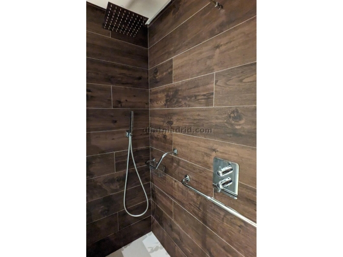 Central Apartment in Salamanca of 1 Bedroom #1920 in Madrid