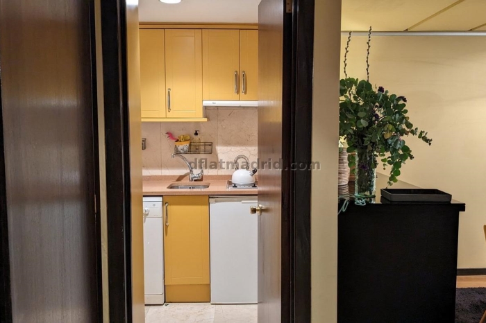 Central Apartment in Salamanca of 1 Bedroom #1920 in Madrid