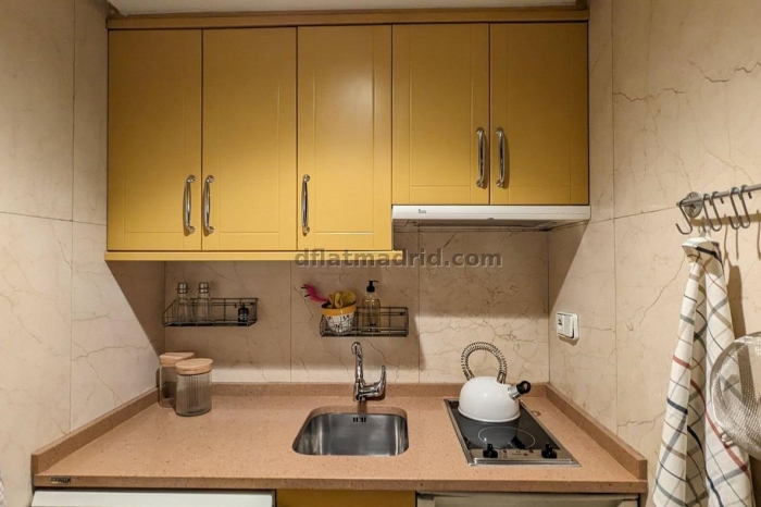 Central Apartment in Salamanca of 1 Bedroom #1920 in Madrid