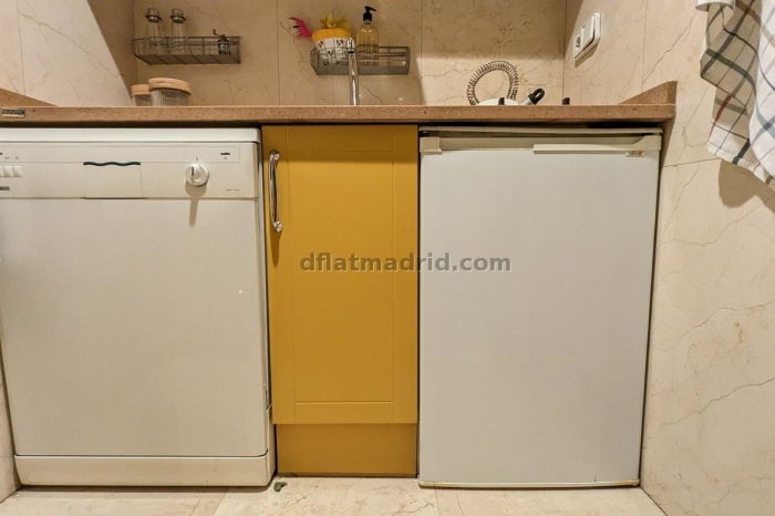 Central Apartment in Salamanca of 1 Bedroom #1920 in Madrid