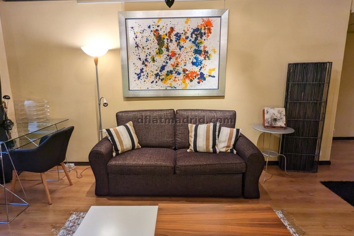 Central Apartment in Salamanca of 1 Bedroom #1920 in Madrid