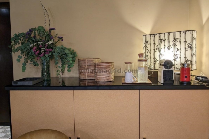 Central Apartment in Salamanca of 1 Bedroom #1920 in Madrid