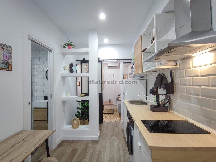 Apartamento en Tetuan de 1 Dormitorio #1947 en Madrid