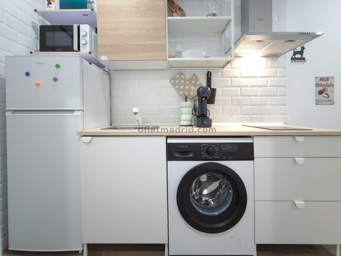 Apartamento en Tetuan de 1 Dormitorio #1948 en Madrid