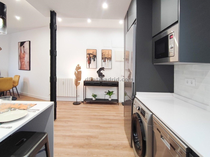 Apartamento en Chamberi de 1 Dormitorio #1957 en Madrid