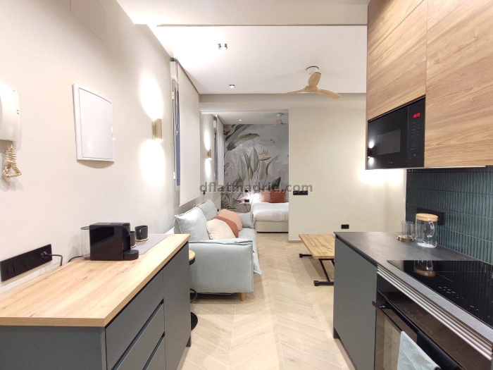 Quiet Apartment in Centro of 1 Bedroom #1970 in Madrid