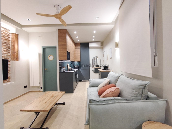 Quiet Apartment in Centro of 1 Bedroom #1970 in Madrid