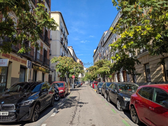 Apartamento luminoso en Centro de 1 Dormitorio #1988 en Madrid