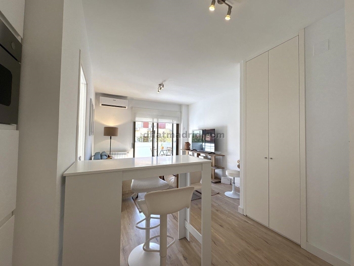 Apartment in Chamartin of 1 Bedroom #2000 in Madrid