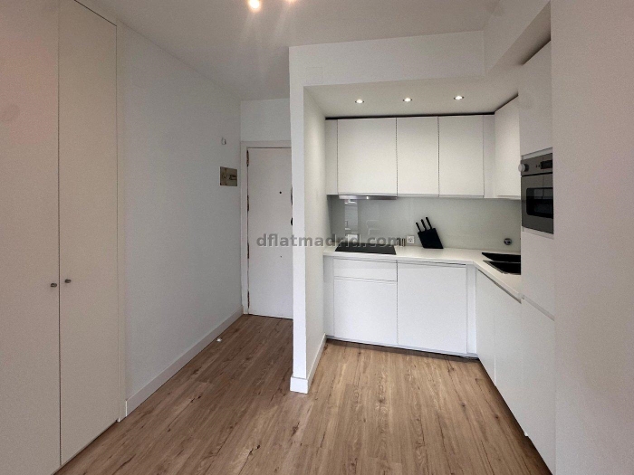 Apartment in Chamartin of 1 Bedroom #2000 in Madrid