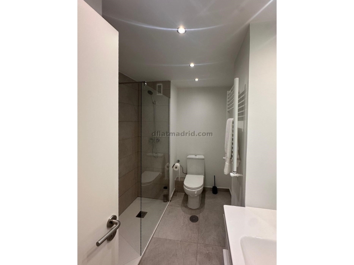 Apartment in Chamartin of 1 Bedroom #2000 in Madrid