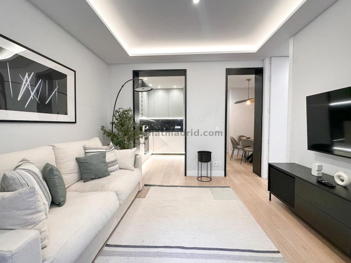Spacious Apartment in Centro of 3 Bedrooms #1999 in Madrid