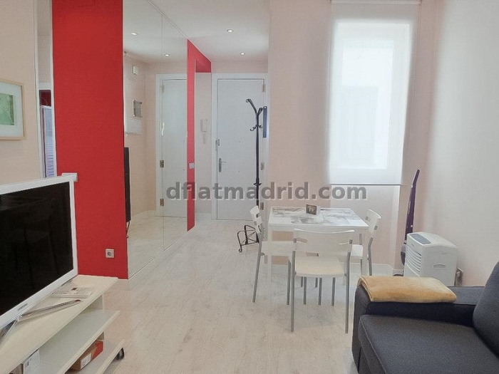 Apartment in Salamanca of 1 Bedroom #2007 in Madrid
