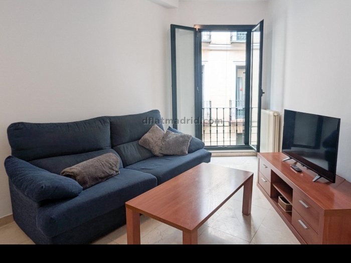 Apartment in Centro of 1 Bedroom #2010 in Madrid