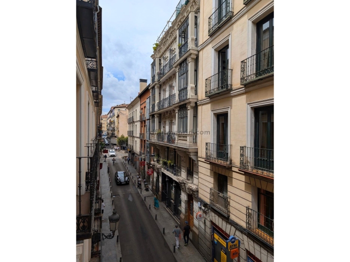 Apartment in Centro of 1 Bedroom #2010 in Madrid