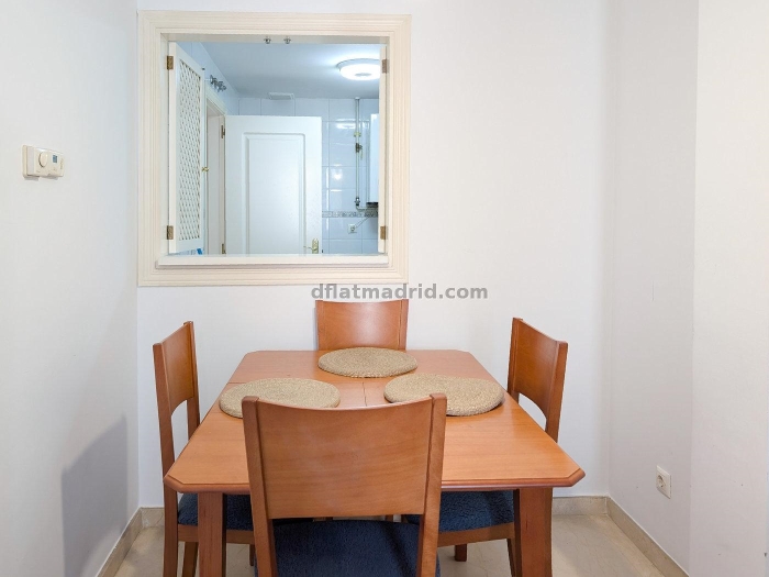 Apartment in Centro of 1 Bedroom #2010 in Madrid