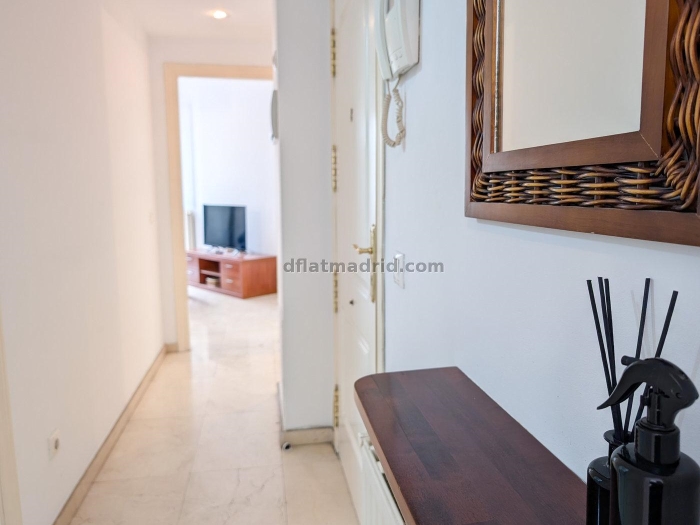 Apartment in Centro of 1 Bedroom #2010 in Madrid