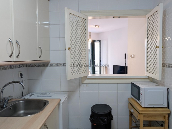 Apartment in Centro of 1 Bedroom #2010 in Madrid