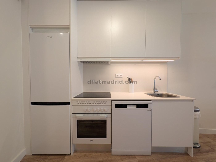 Bright Apartment in Tetuan of 1 Bedroom #2012 in Madrid