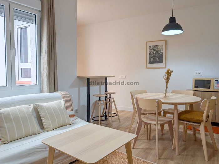 Apartment in Centro of 1 Bedrooms #2016 in Madrid