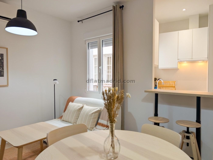Apartment in Centro of 1 Bedrooms #2016 in Madrid