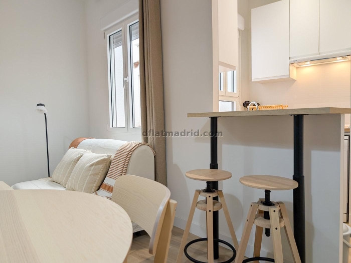 Apartment in Centro of 1 Bedrooms #2016 in Madrid