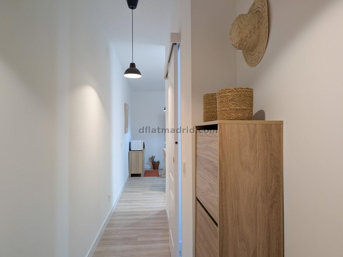 Apartment in Centro of 1 Bedrooms #2016 in Madrid