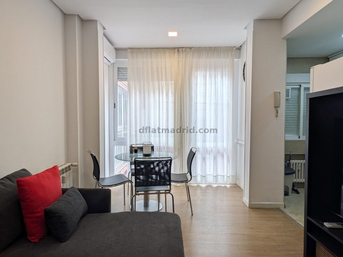 Apartamento en Chamartin de 1 Dormitorio #2013 en Madrid