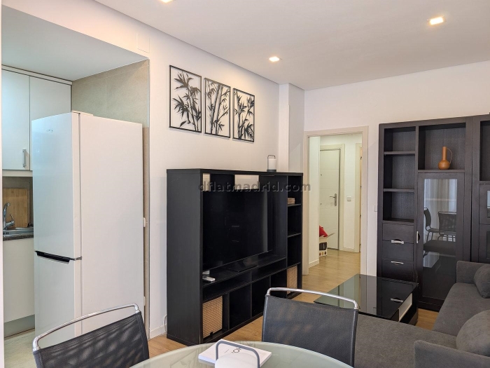 Apartamento en Chamartin de 1 Dormitorio #2013 en Madrid