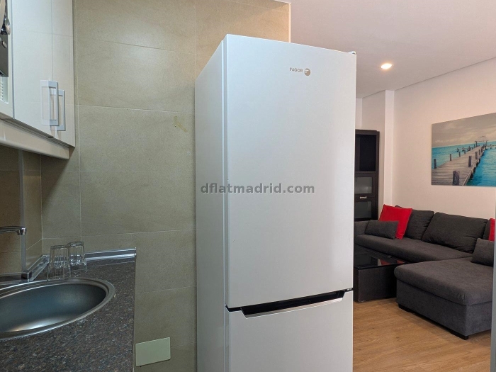 Apartamento en Chamartin de 1 Dormitorio #2013 en Madrid