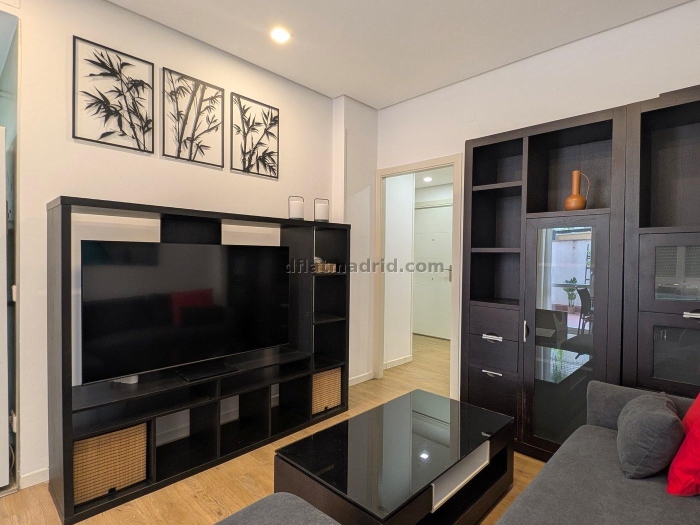Apartamento en Chamartin de 1 Dormitorio #2013 en Madrid