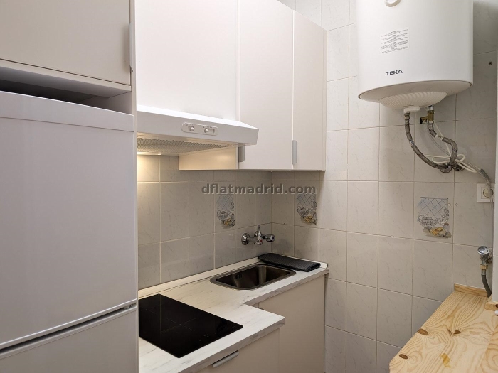 Apartment in Centro of 2 Bedrooms #2020 in Madrid