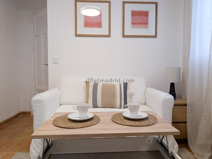 Apartment in Centro of 2 Bedrooms #2020 in Madrid