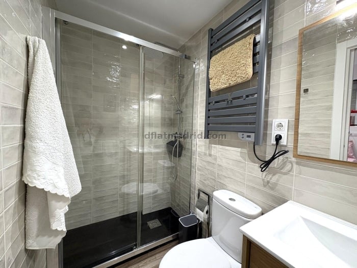 Apartment in Salamanca of 1 Bedroom #2062 in Madrid
