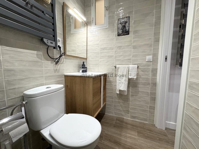 Apartment in Salamanca of 1 Bedroom #2062 in Madrid