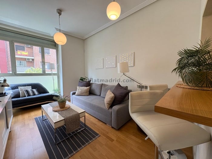 Apartamento en Chamartin de 1 Dormitorio #2074 en Madrid