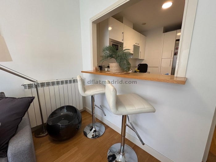 Apartamento en Chamartin de 1 Dormitorio #2074 en Madrid