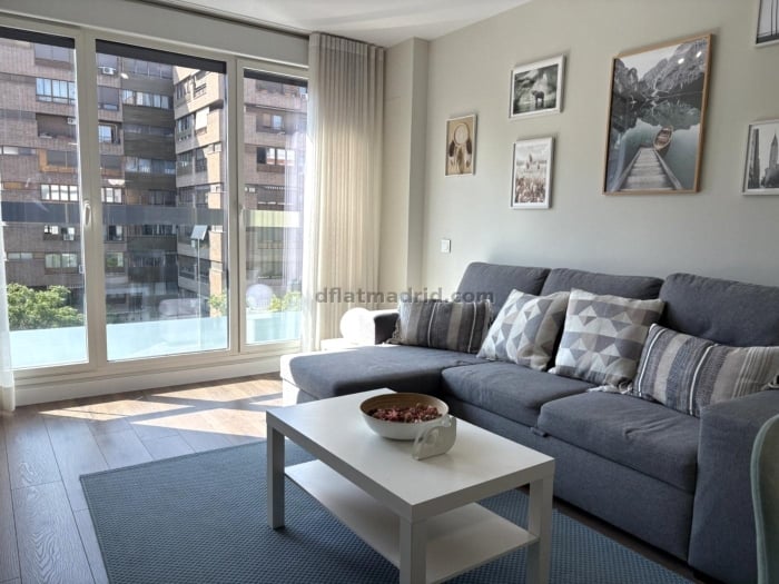 Apartment in Chamartin of 0 Bedroom #2075 in Madrid